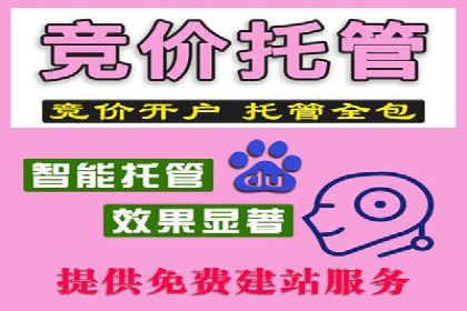 实战技巧：竞价推广公司案例深度解读